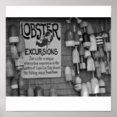 Cape Cod Poster (Vorne)