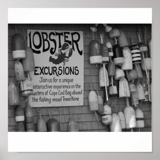 Cape Cod Poster (Vorne)