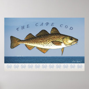 Cape Cod Poster