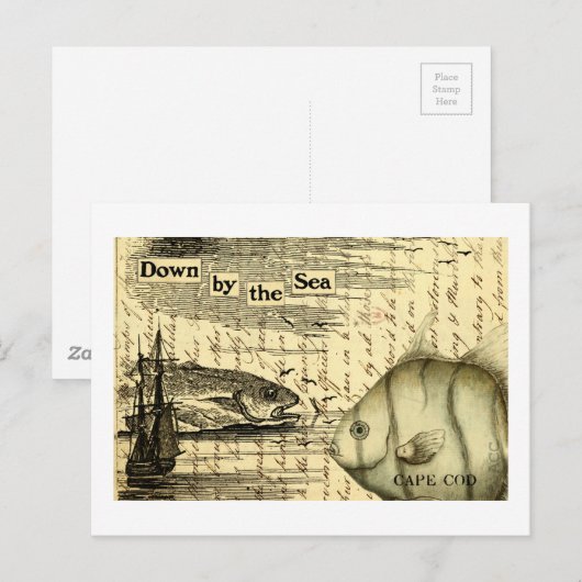 Cape Cod Postkarte (Vorne/Hinten)