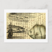 Cape Cod Postkarte (Vorderseite)