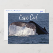 Cape Cod, Provincetown Massachusetts Postkarte (Vorne/Hinten)