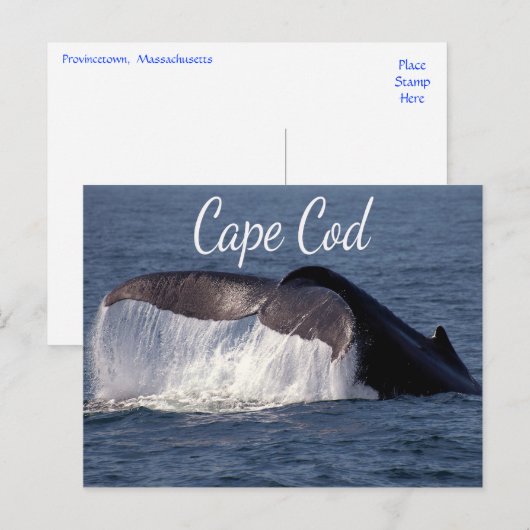 Cape Cod, Provincetown Massachusetts Postkarte (Vorne/Hinten)