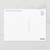 Cape Cod, Provincetown Massachusetts Postkarte (Rückseite)