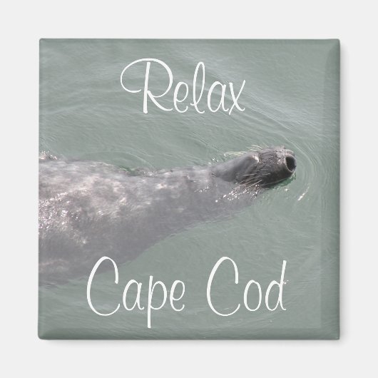 Cape Cod, Relax Siegel Floating Magnet (Vorne)