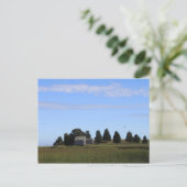 Cape Cod Salt Marsh Postkarte (Stehend Vorderseite)