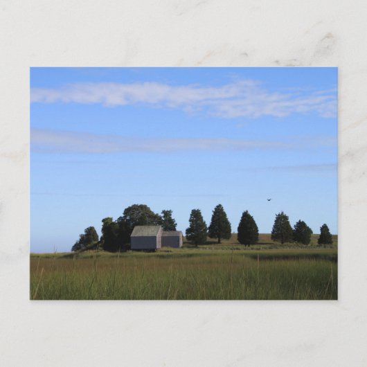 Cape Cod Salt Marsh Postkarte (Vorderseite)