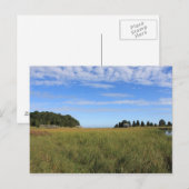 Cape Cod Salt Marsh Postkarte (Vorne/Hinten)
