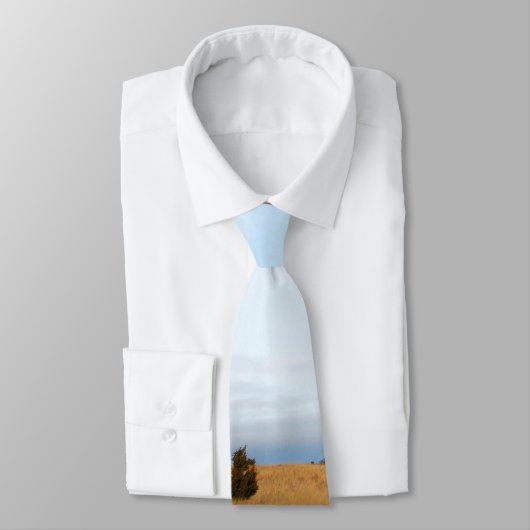 Cape Cod-Salz-Sumpf Krawatte (Gebunden)