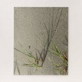 Cape Cod Sandy Beach Puzzle (Vertikal)