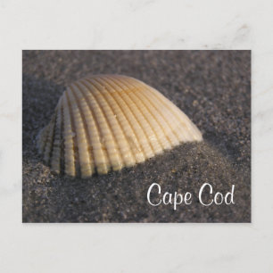 Cape Cod Seashell auf der Beach Post Card Postkarte