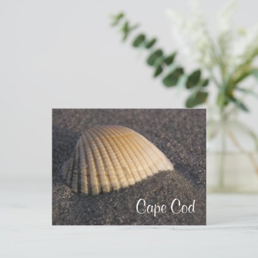 Cape Cod Seashell auf der Beach Post Card Postkarte (Stehend Vorderseite)