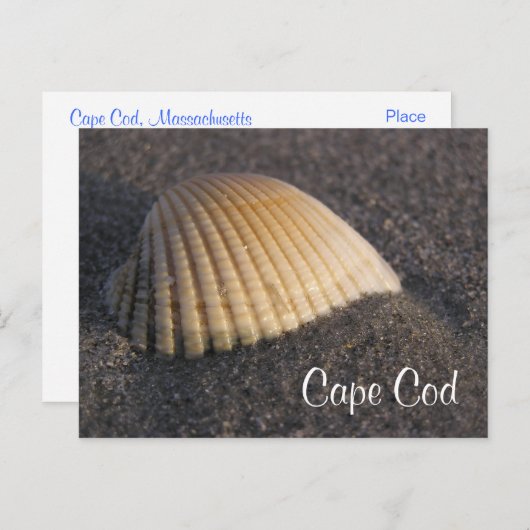 Cape Cod Seashell auf der Beach Post Card Postkarte (Vorne/Hinten)