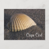 Cape Cod Seashell auf der Beach Post Card Postkarte (Vorderseite)