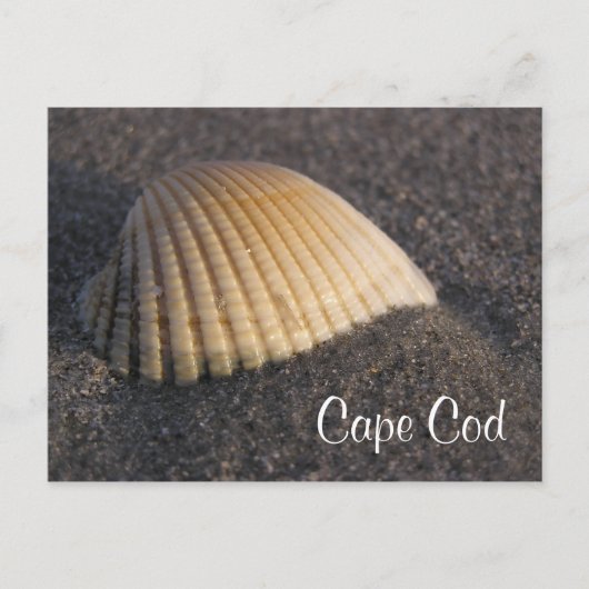 Cape Cod Seashell auf der Beach Post Card Postkarte (Vorderseite)