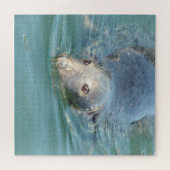 Cape Cod Siegel am Pier Puzzle (Horizontal)