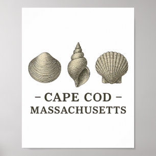 Cape Cod Strandurlaub Vintage Meeresmuscheln Schal Poster