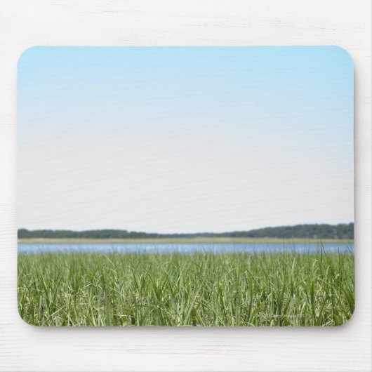 Cape Cod-Sumpf Mousepad (Vorne)