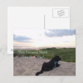 Cape Cod Sunset mit Black Lab Postkarte (Vorne/Hinten)