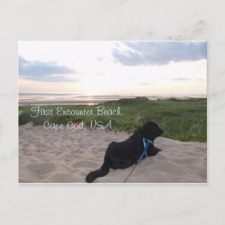 Cape Cod Sunset mit Black Lab Postkarte