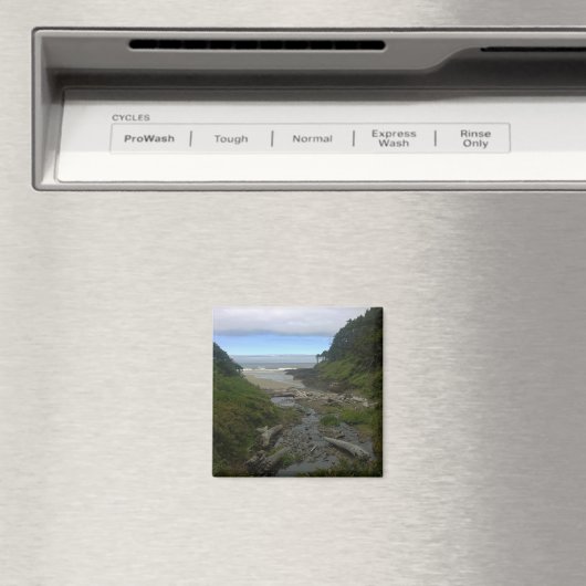 Cape Cove, Cape Perpetua, Oregon Magnet (In Situ (Geschirrspüler))