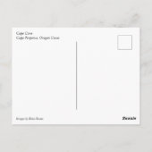 Cape Cove, Cape Perpetua, Oregon Postkarte (Rückseite)