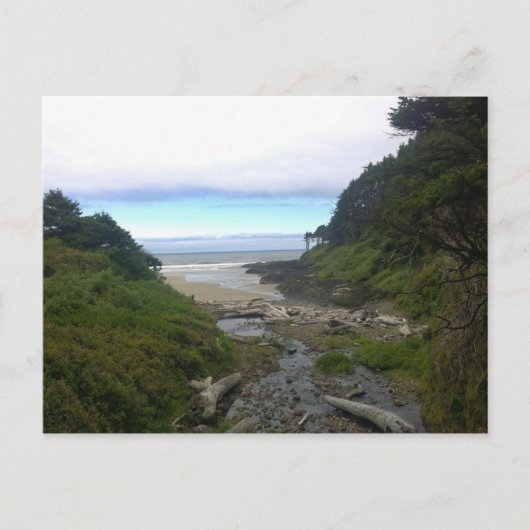Cape Cove, Cape Perpetua, Oregon Postkarte (Vorderseite)