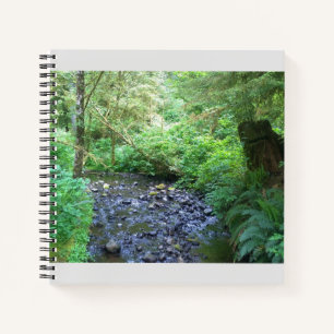 Cape Creek, Cape Perpetua, Oregon Notizblock