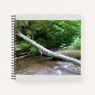 Cape Creek, Cape Perpetua, Oregon Notizblock