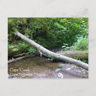 Cape Creek, Cape Perpetua, Oregon Postkarte