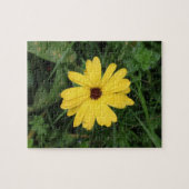 Cape Daisy (gelbe Blume) Jigsaw Puzzle (Horizontal)