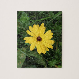 Cape Daisy (gelbe Blume) Jigsaw Puzzle