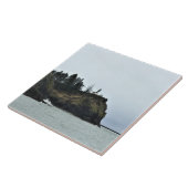 Cape Enttäuschung Lighthouse, WA Fliese (Seite)