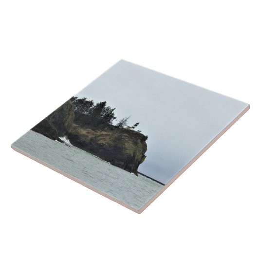 Cape Enttäuschung Lighthouse, WA Fliese (Seite)