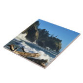 Cape Enttäuschung Lighthouse, Washington Fliese (Seite)