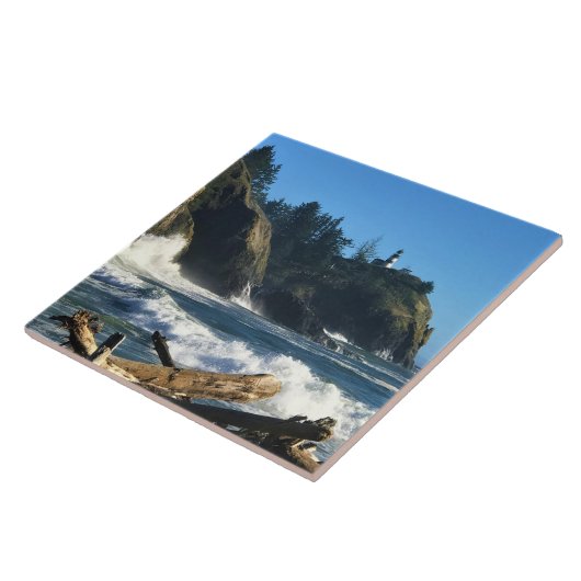 Cape Enttäuschung Lighthouse, Washington Fliese (Seite)