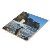 Cape Enttäuschung Lighthouse, Washington Fliese (Seite)