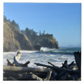 Cape Enttäuschung Lighthouse, Washington Fliese (Vorderseite)