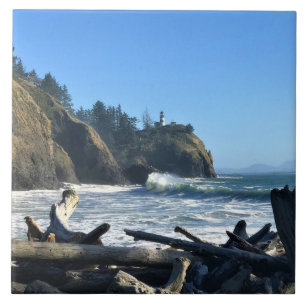 Cape Enttäuschung Lighthouse, Washington Fliese