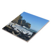 Cape Enttäuschung Lighthouse, Washington Fliese (Seite)