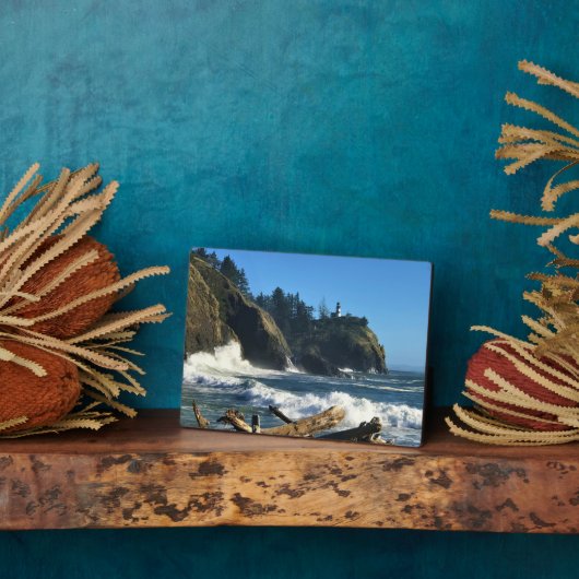 Cape Enttäuschung Lighthouse, Washington Fotoplatte (Seite)