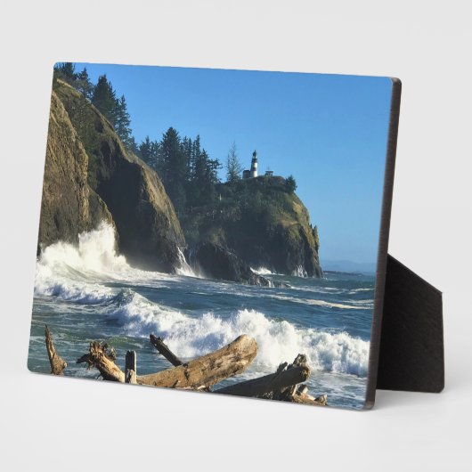 Cape Enttäuschung Lighthouse, Washington Fotoplatte (Seite)