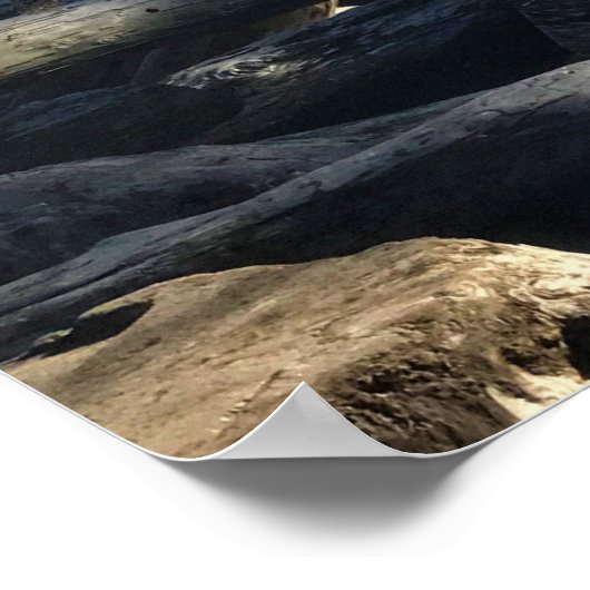 Cape Enttäuschung Lighthouse, Washington Poster (Ecke)