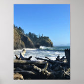 Cape Enttäuschung Lighthouse, Washington Poster (Vorne)