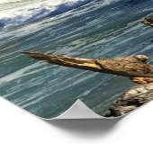 Cape Enttäuschung Lighthouse, Washington Poster (Ecke)