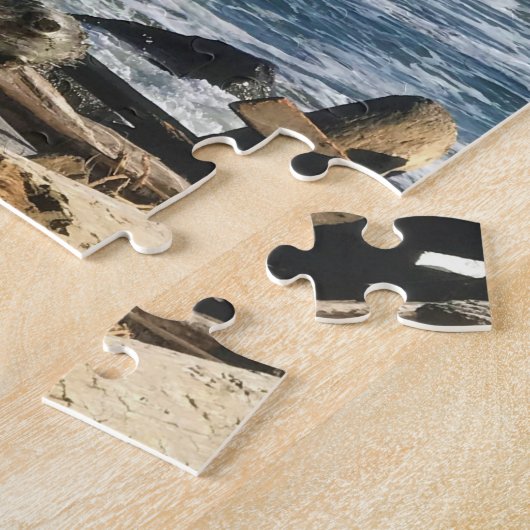 Cape Enttäuschung Lighthouse, Washington Puzzle (Seite)