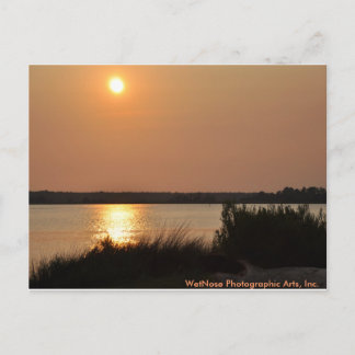 Cape Fear River Postkarte