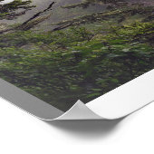 Cape Flattery im Regen Panorama-Poster Poster (Ecke)