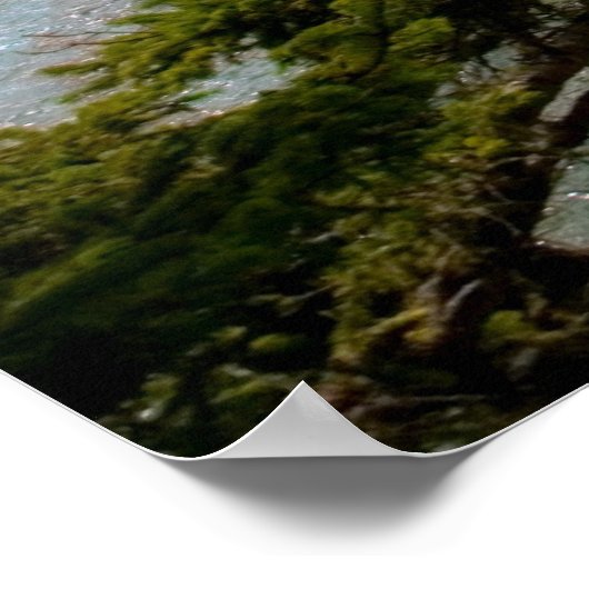 Cape Flattery Inlet, Washington Print Poster (Ecke)