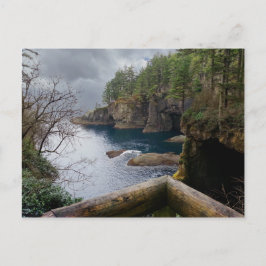 Cape Flattery Olympischer Nationalpark Postkarte